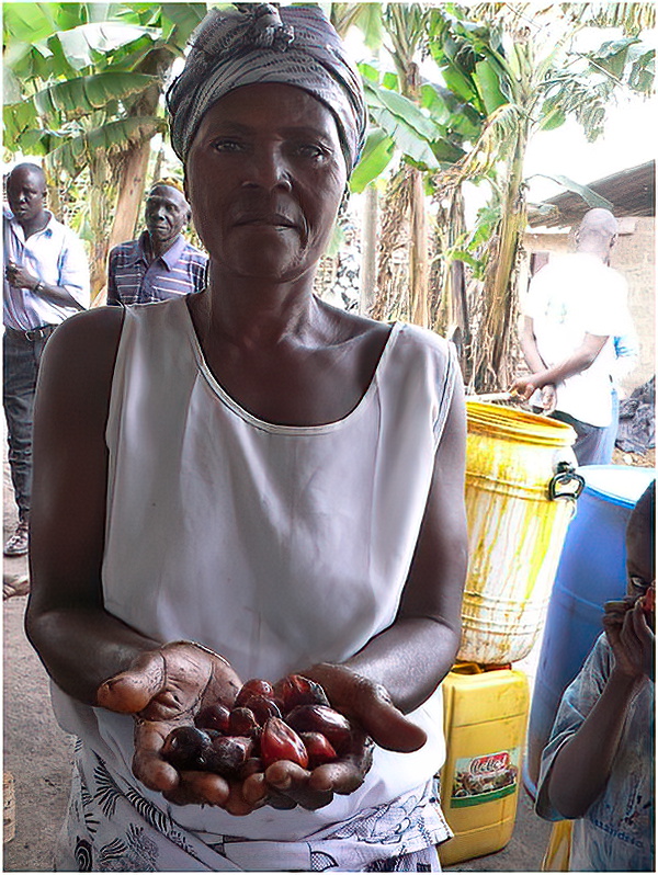 Denkyira People