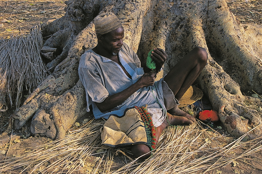 Fali People
