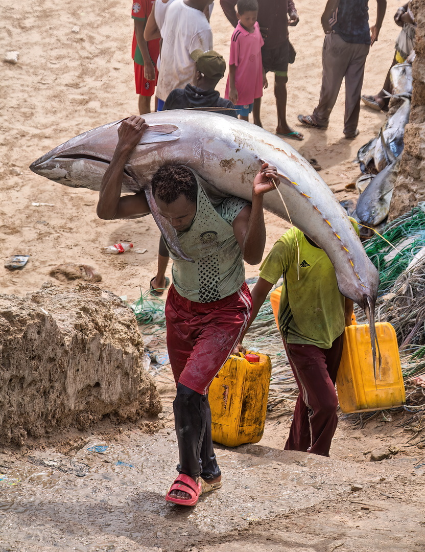 Somali People