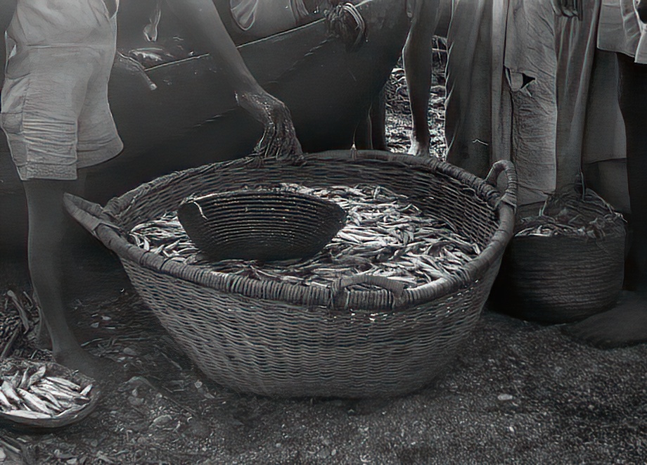 Zyoba People